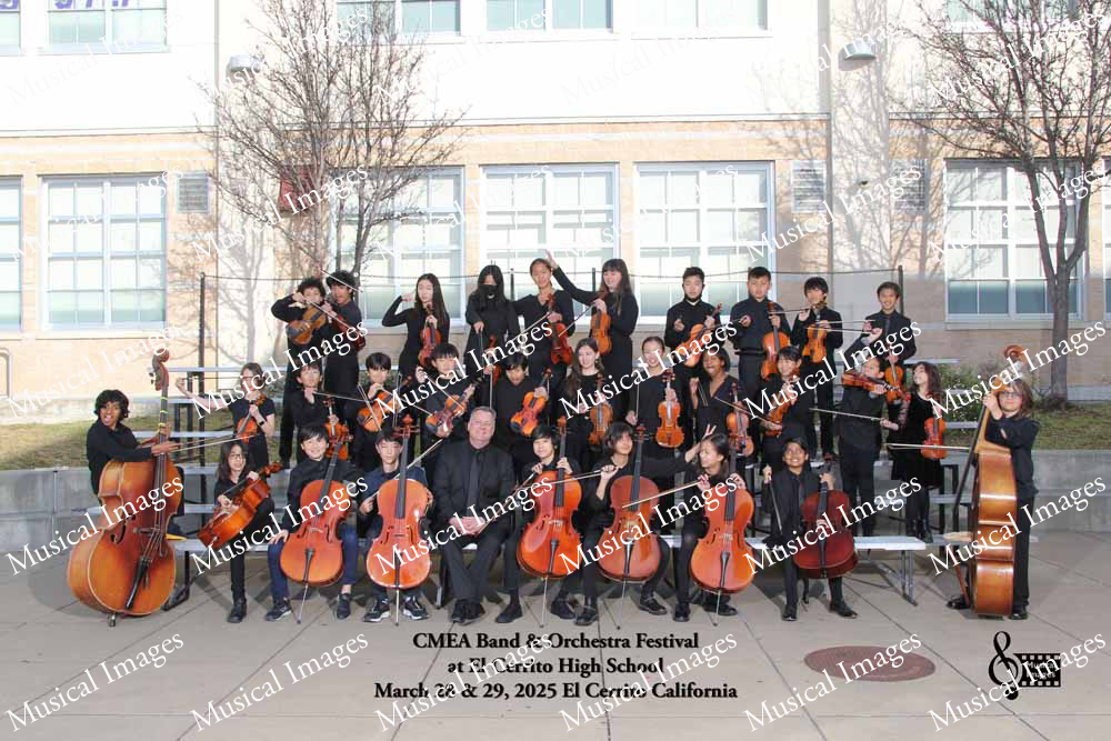 Musical Images
